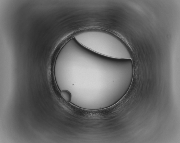 X0000108480535200904031121