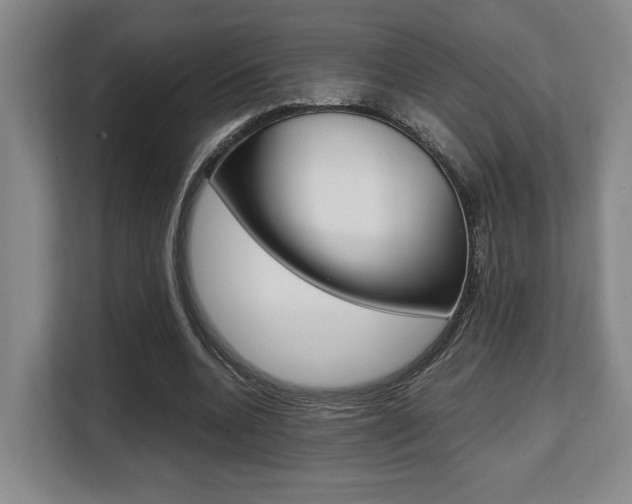 X0000108480536200904031121