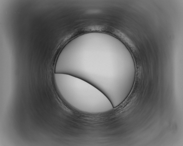 X0000108480537200904031121