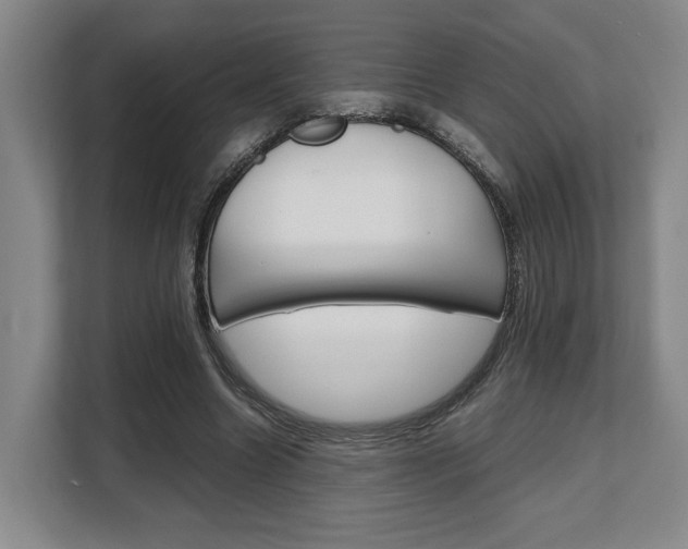 X0000108480538200904031121