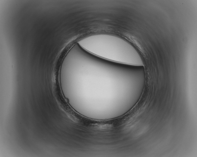 X0000108480539200904031121
