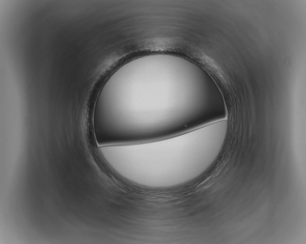X0000108480540200904031121