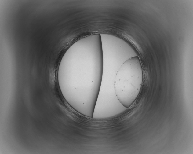 X0000108480541200904031121