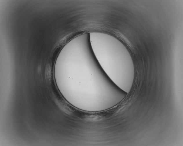 X0000108480542200904031121