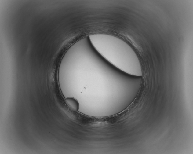 X0000108480543200904031121