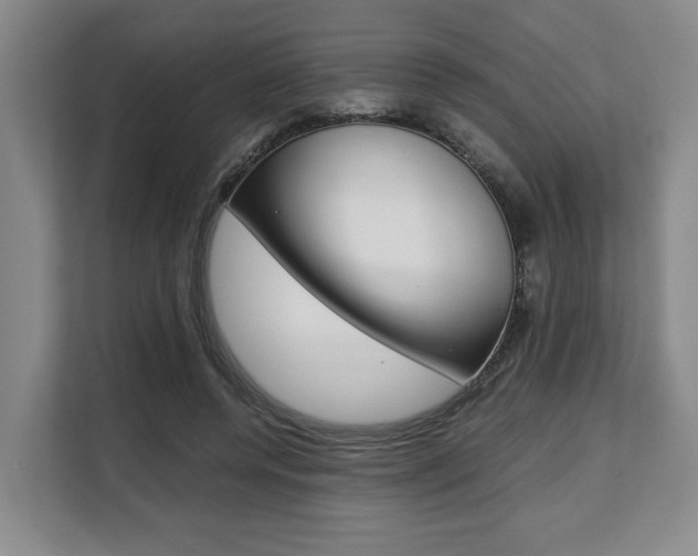 X0000108480544200904031121