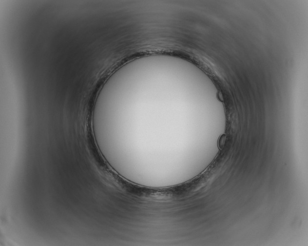 X0000108480546200904031121