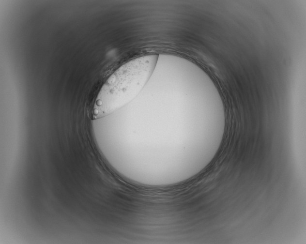X0000108480550200904031121