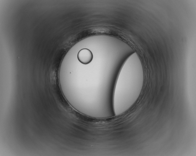 X0000108480551200904031121