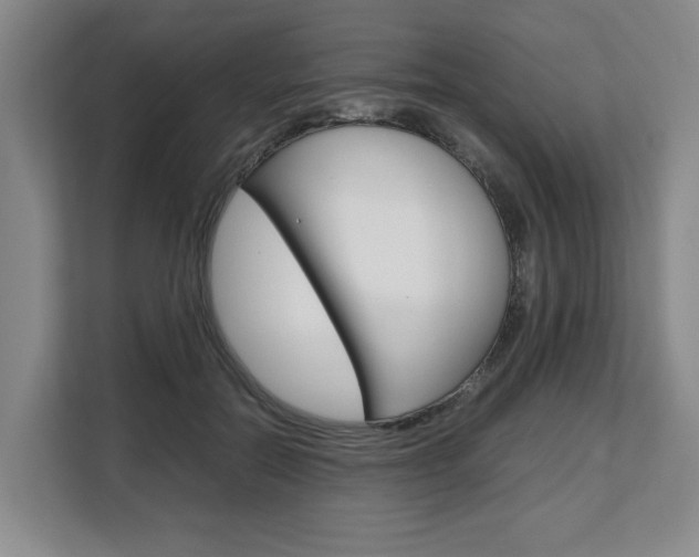 X0000108480554200904031121