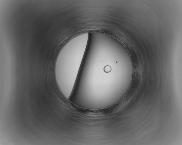 X0000108480556200904031121