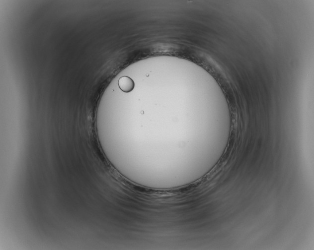 X0000108480557200904031122