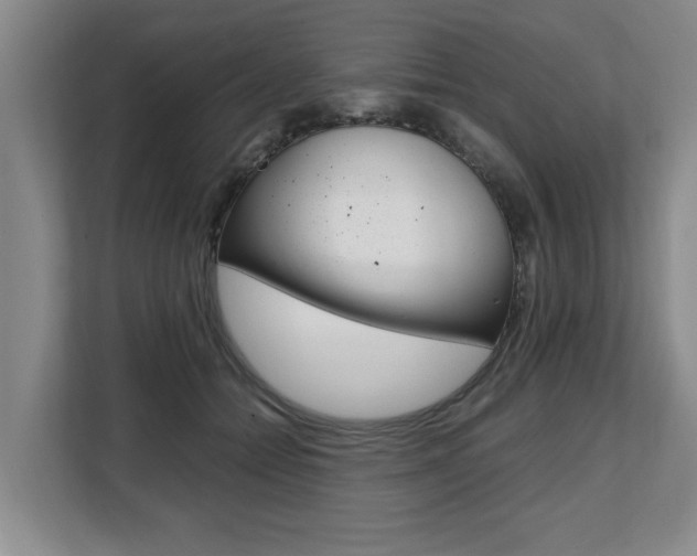 X0000108480558200904031122