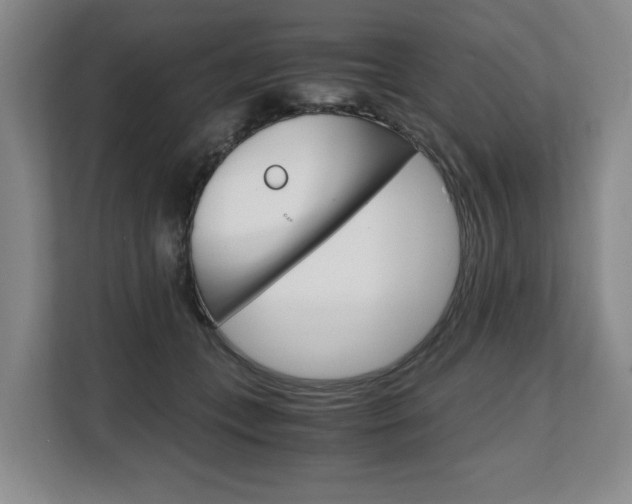 X0000108480559200904031122