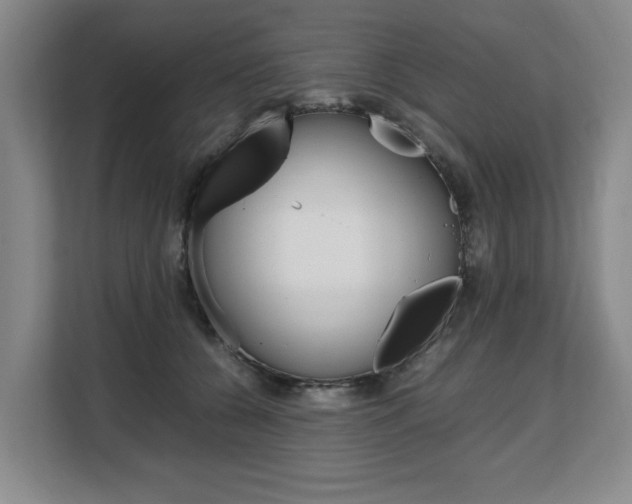 X0000108480560200904031122