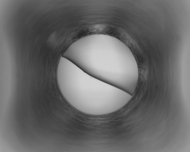 X0000108480561200904031122