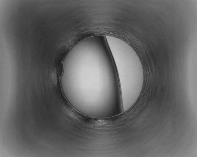 X0000108480562200904031122