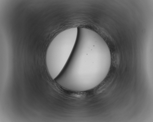 X0000108480563200904031122
