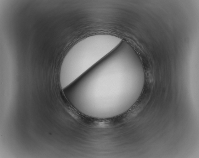 X0000108480564200904031122