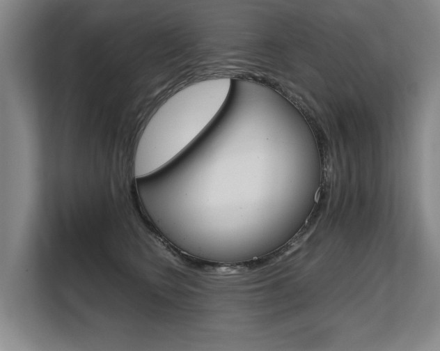 X0000108480566200904031122