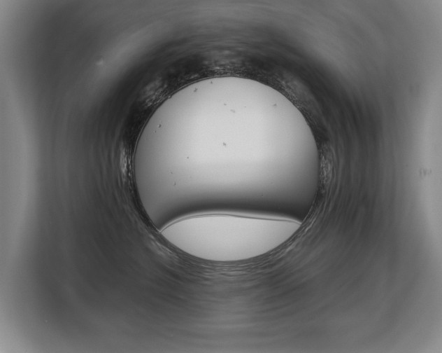 X0000108480574200904031122