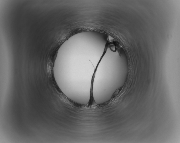 X0000108480576200904031122