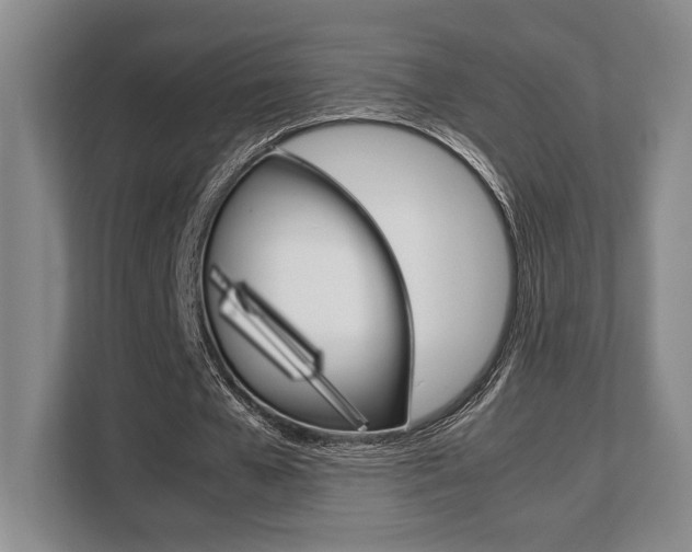 X0000108480577200904031121