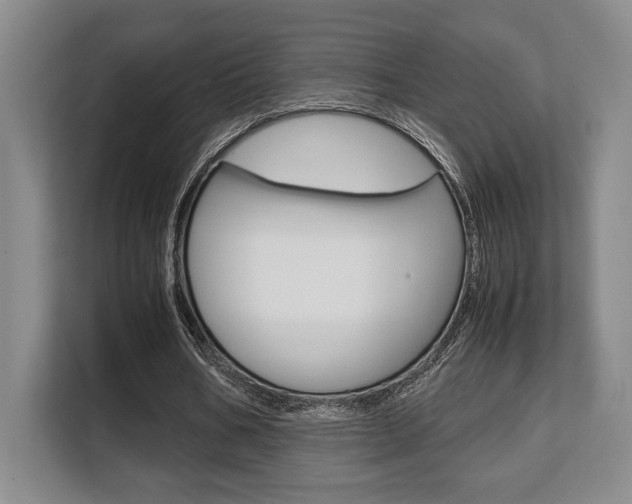 X0000108480578200904031121