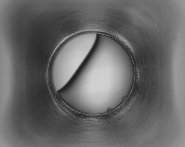 X0000108480580200904031121