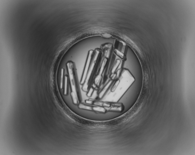 X0000108480581200904031121