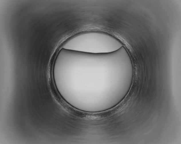 X0000108480582200904031121