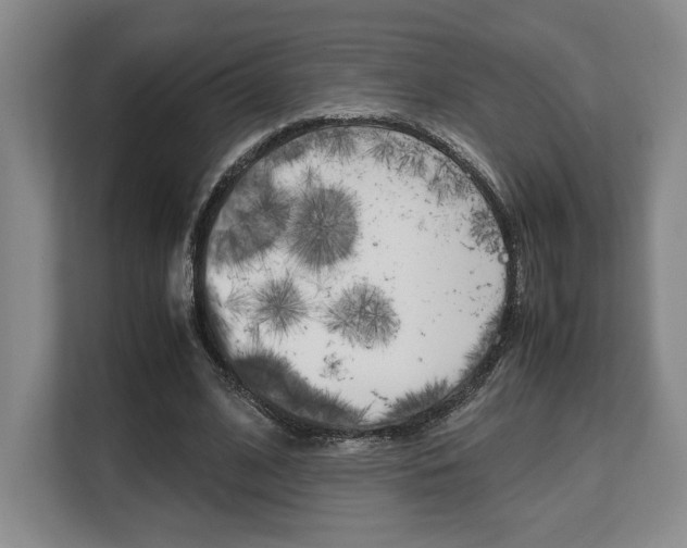 X0000108480584200904031121