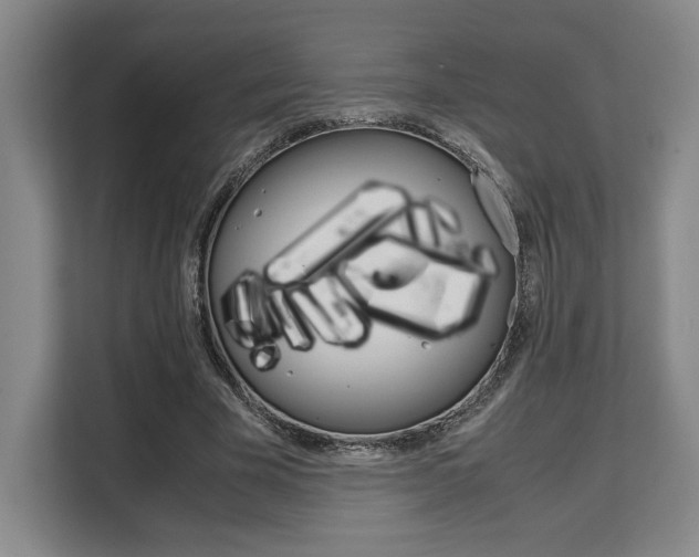 X0000108480585200904031121