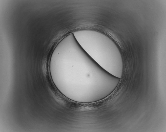 X0000108480586200904031121