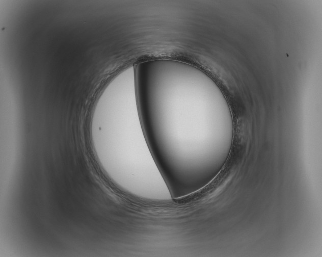 X0000108480589200904031121