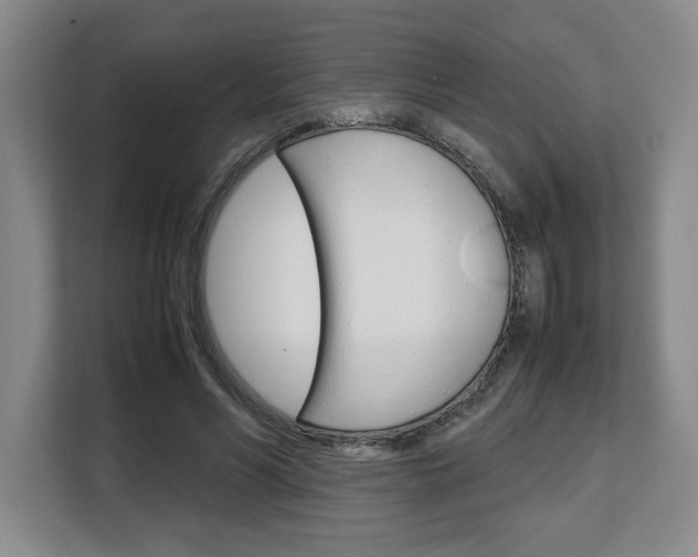 X0000108480590200904031121