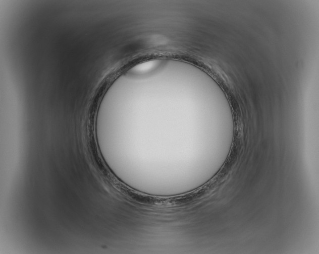 X0000108480591200904031121
