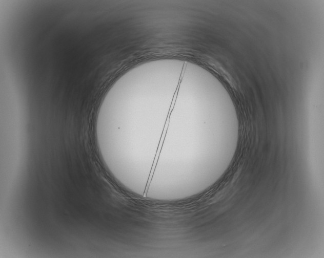X0000108480593200904031121