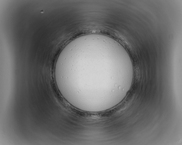 X0000108480594200904031121