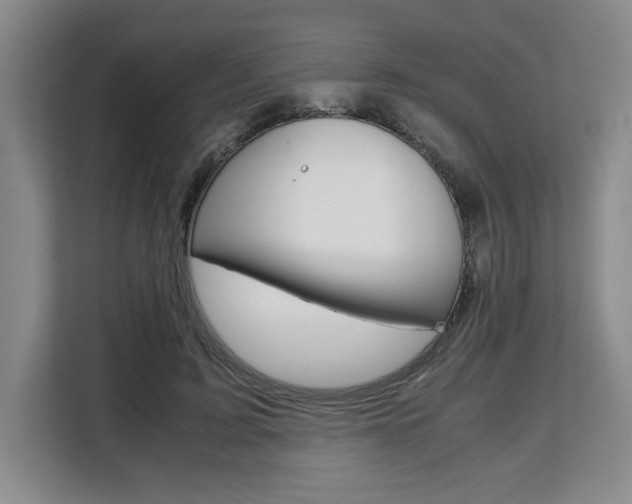 X0000108480595200904031121