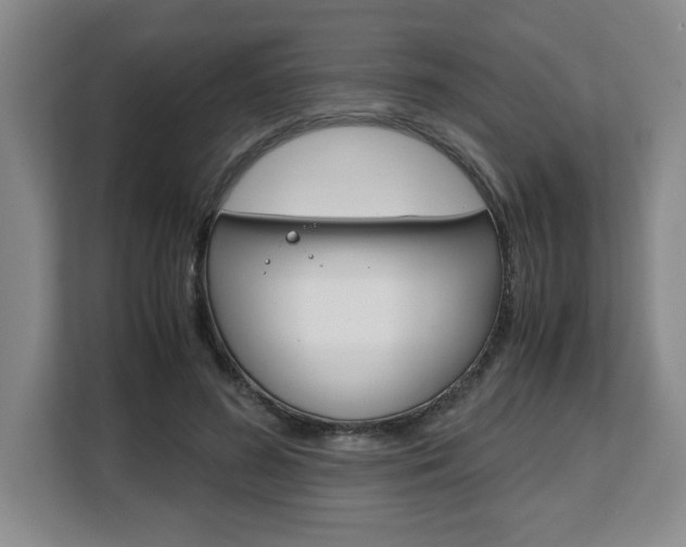 X0000108480596200904031121