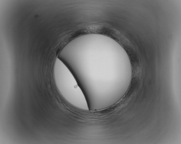 X0000108480599200904031121