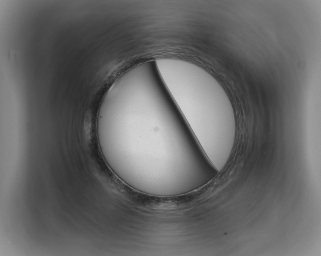 X0000108480600200904031121