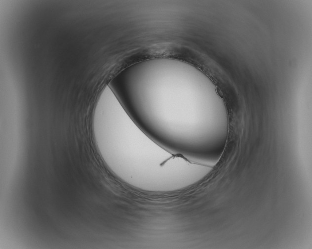 X0000108480601200904031121