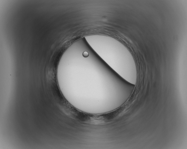 X0000108480603200904031121