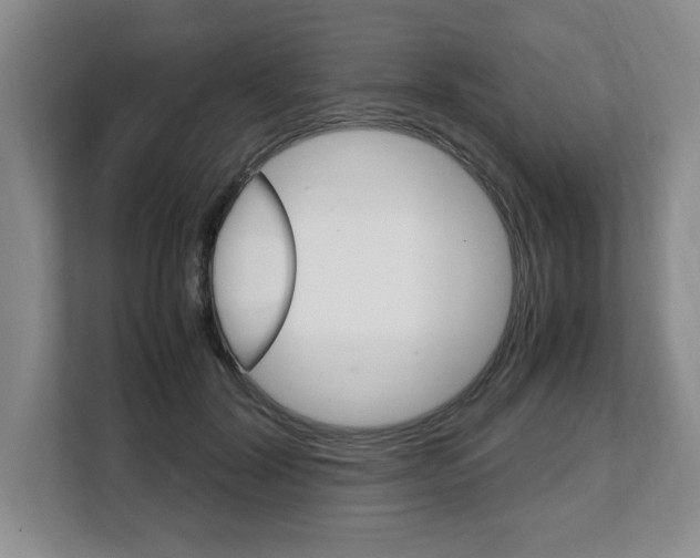 X0000108480604200904031121