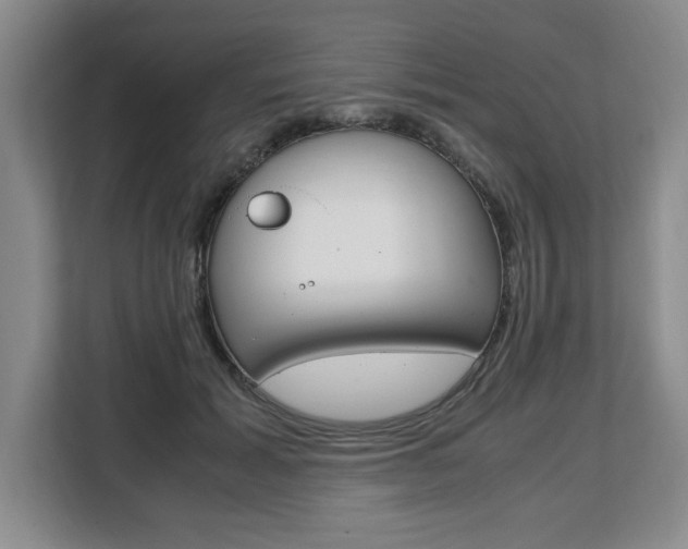 X0000108480605200904031121