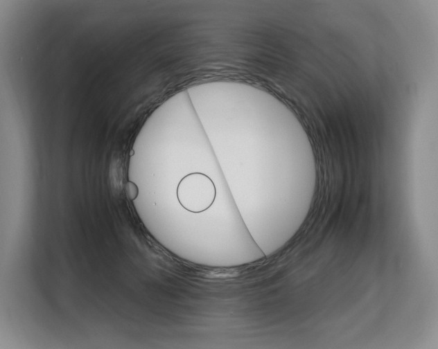 X0000108480606200904031121
