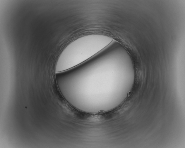 X0000108480609200904031121