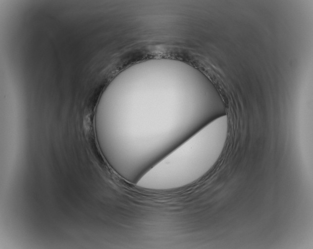 X0000108480611200904031121
